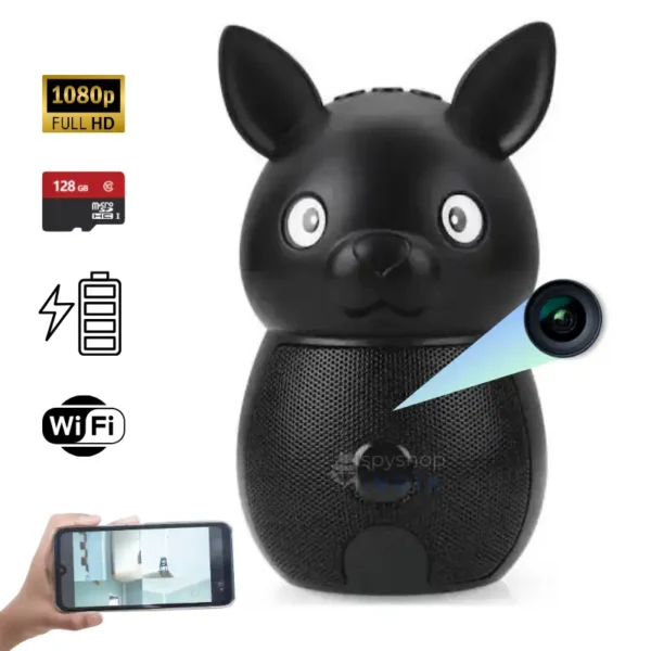 wireless spy camera bluetooth speaker