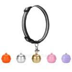Bell Mini GPS Tracker | Spy Shop India